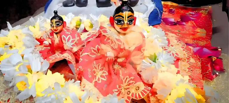 Laddu Gopal Poshak Seva