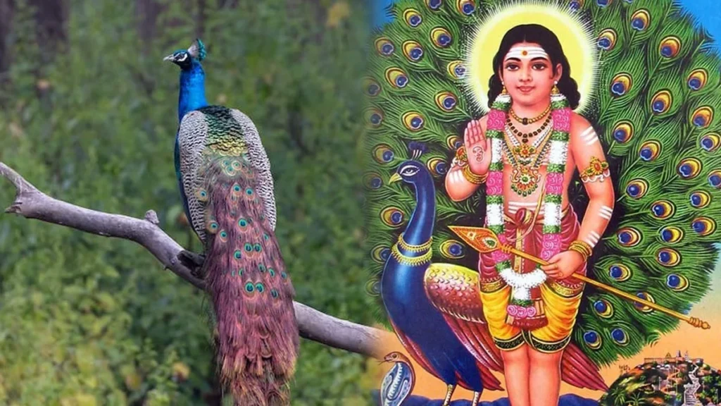 MURUGAN