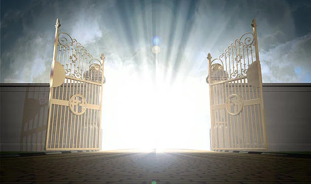 Entry Gate at the Sahasrara