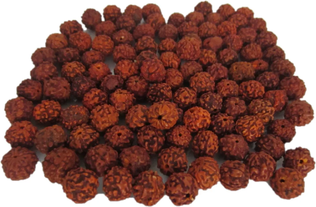 Rudraksha